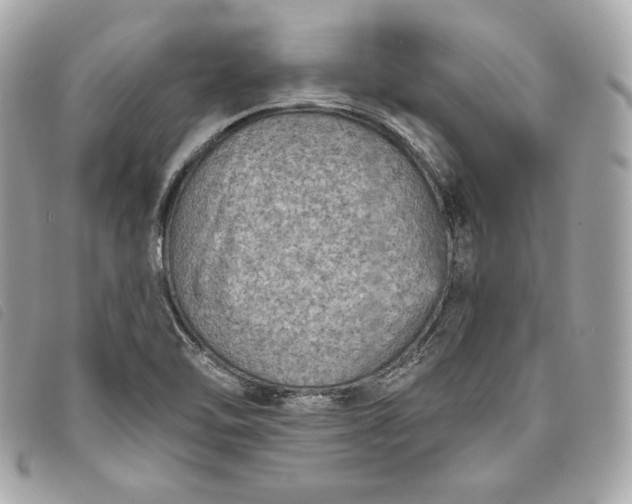 X0000093481462200710261029