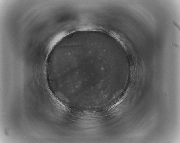 X0000093481463200710261029