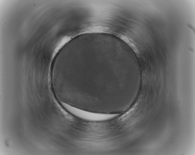 X0000093481469200710261029