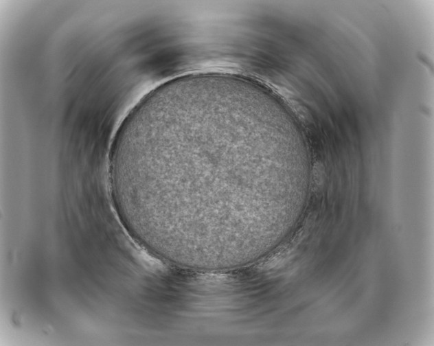 X0000093481470200710261029
