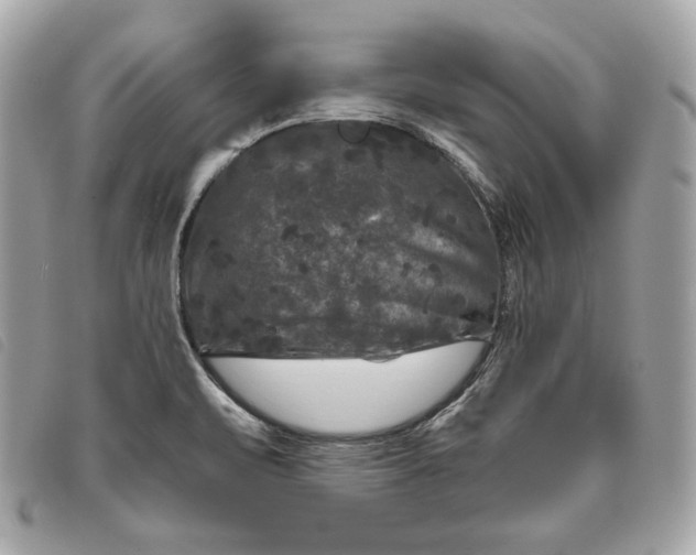 X0000093481471200710261029