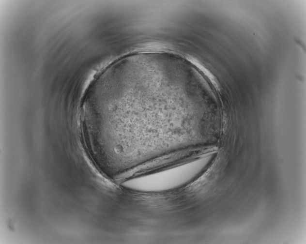 X0000093481477200710261029