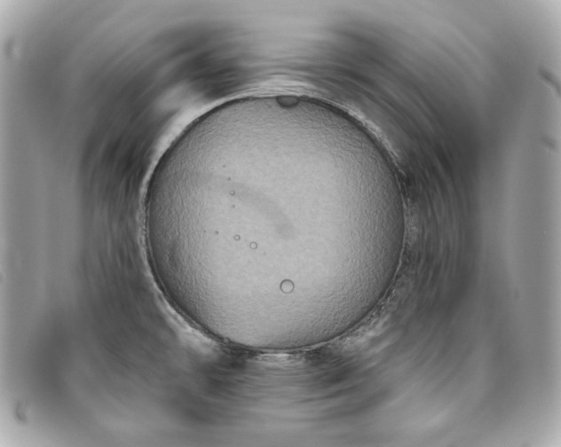 X0000093481478200710261029