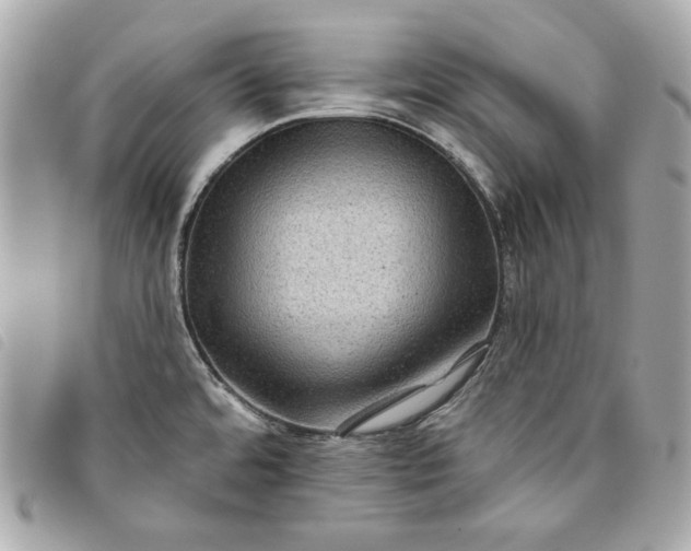 X0000093481480200710261029
