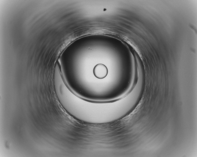 X0000093481481200710261029