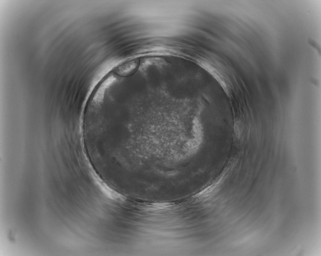 X0000093481482200710261029