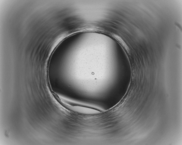 X0000093481483200710261029