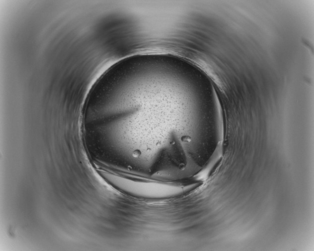 X0000093481484200710261029