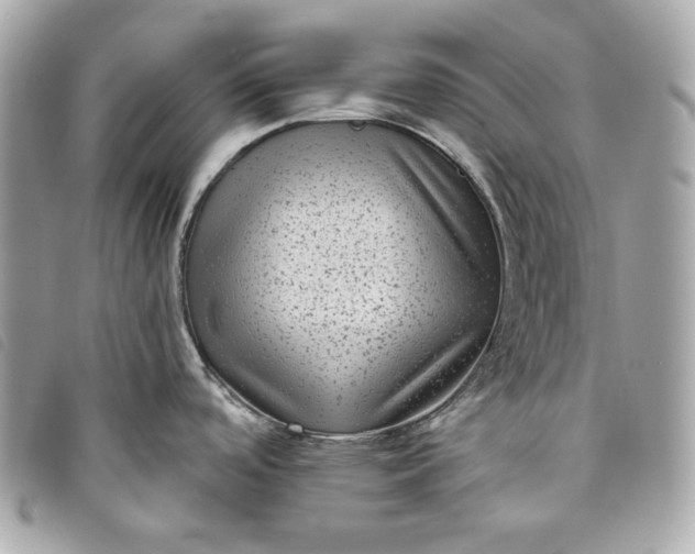 X0000093481488200710261029