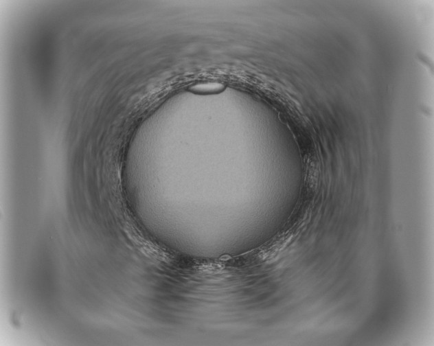 X0000093481489200710261028