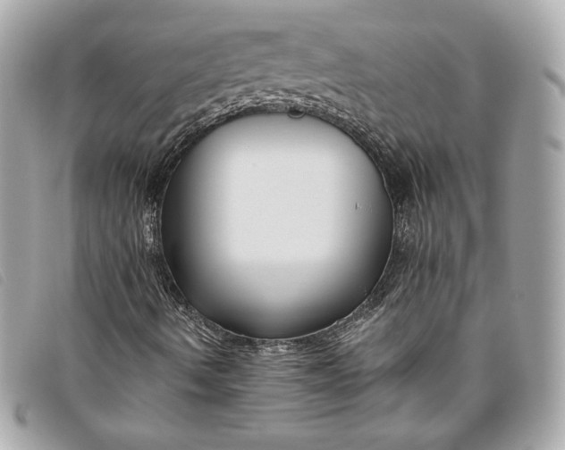 X0000093481490200710261028