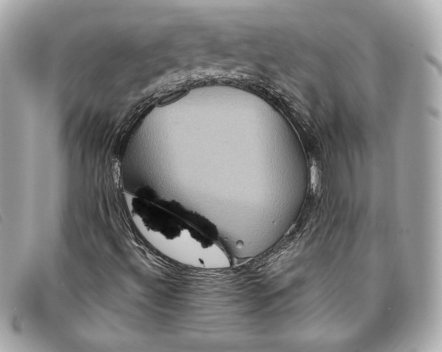 X0000093481492200710261028