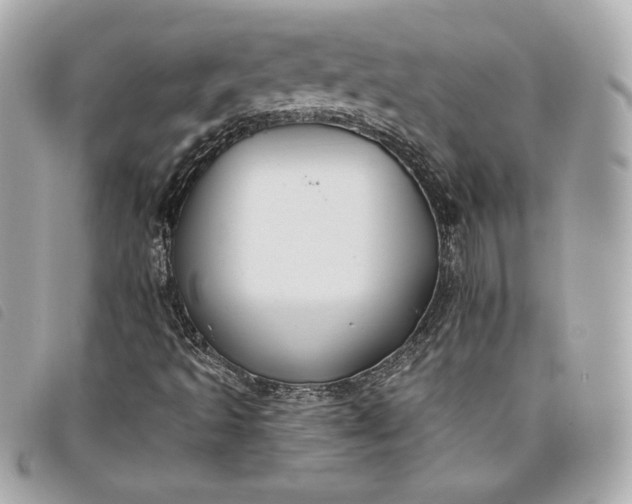 X0000093481493200710261028