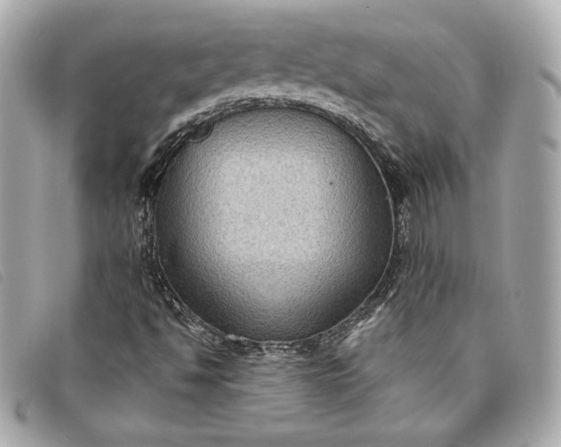 X0000093481494200710261028