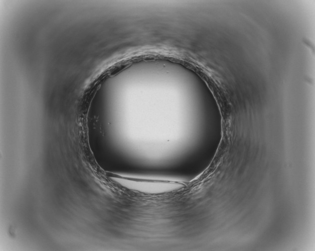 X0000093481496200710261028