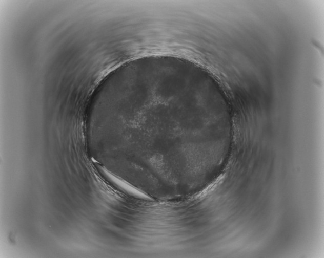 X0000093481497200710261028