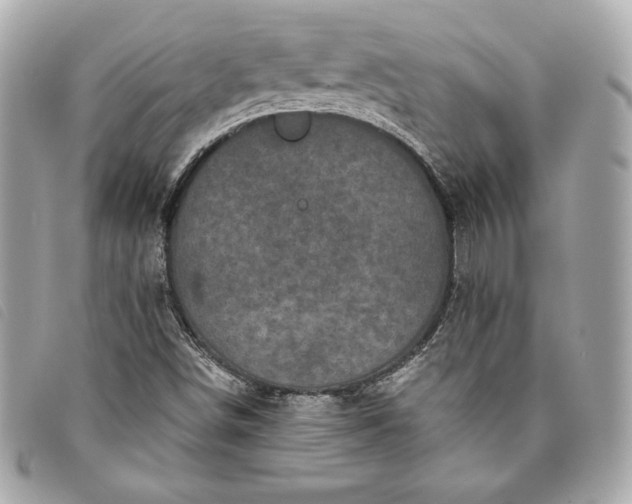 X0000093481498200710261028