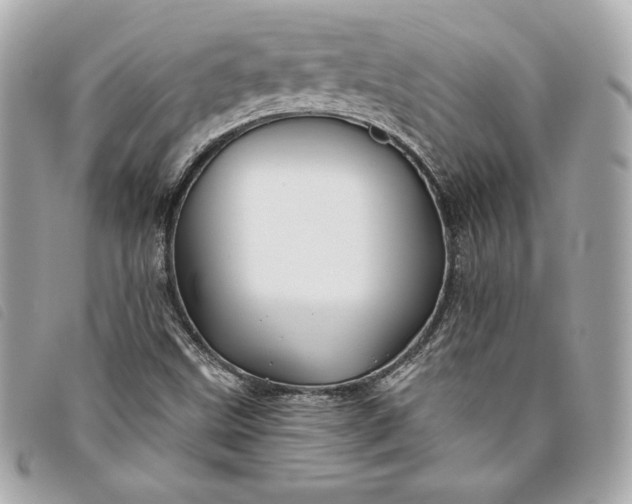 X0000093481499200710261028