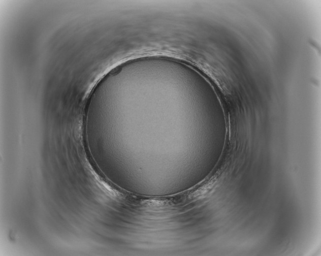 X0000093481500200710261028