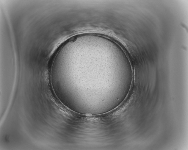 X0000093481501200710261028