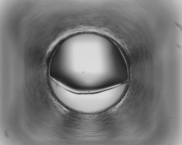 X0000093481502200710261028