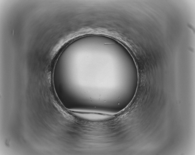 X0000093481503200710261028