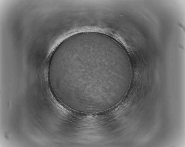 X0000093481504200710261028