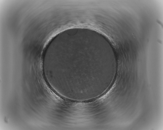 X0000093481506200710261028