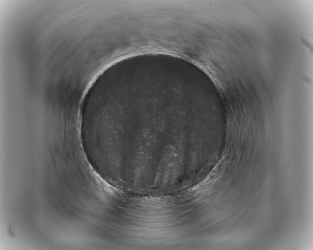 X0000093481508200710261028