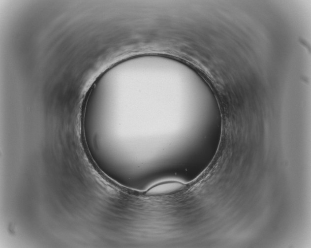 X0000093481512200710261028