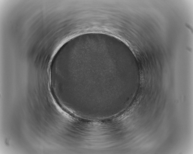 X0000093481515200710261028