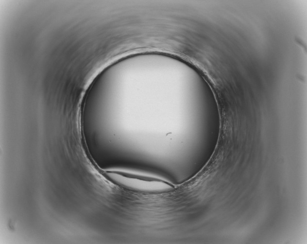 X0000093481516200710261028