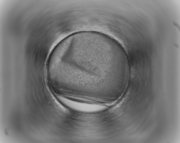 X0000093481517200710261028
