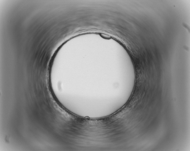 X0000093481518200710261028