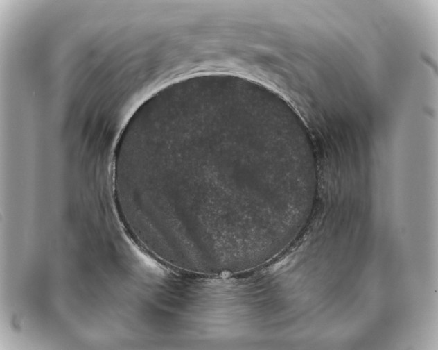 X0000093481519200710261028