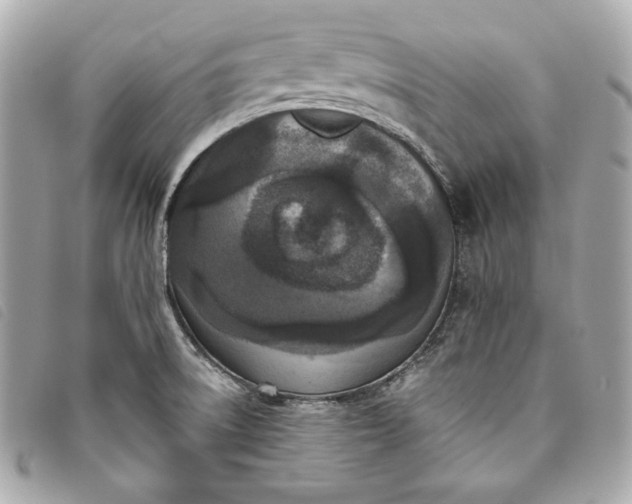 X0000093481522200710261028
