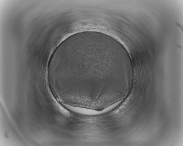 X0000093481525200710261028