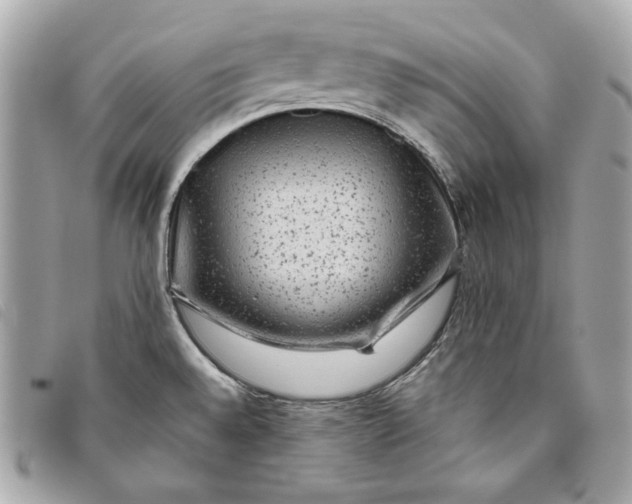 X0000093481528200710261028