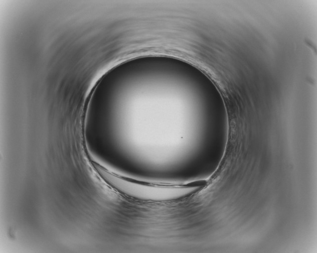 X0000093481530200710261028