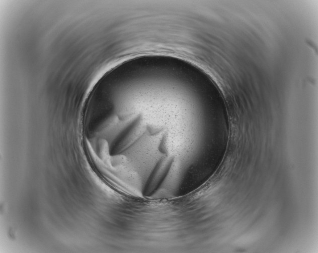 X0000093481531200710261028