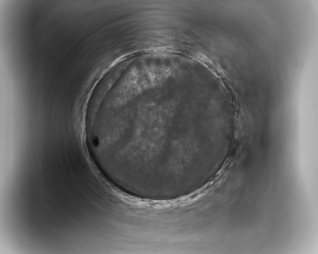 X0000093480002200711020941