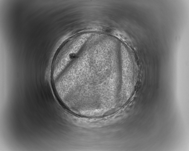 X0000093480003200711020941