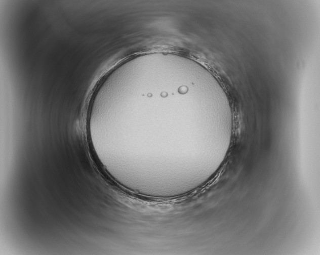 X0000093480004200711020941