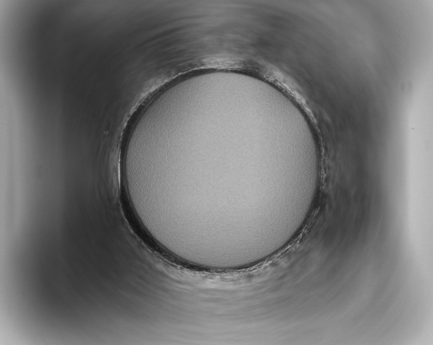 X0000093480011200711020941