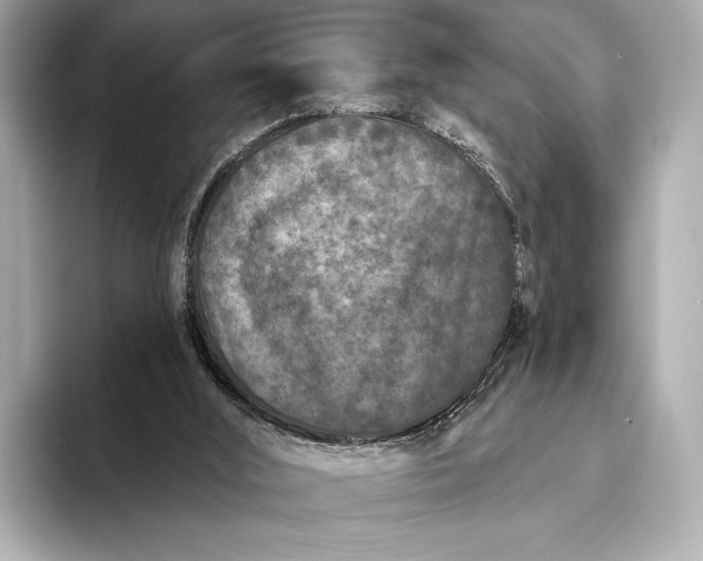 X0000093480012200711020941