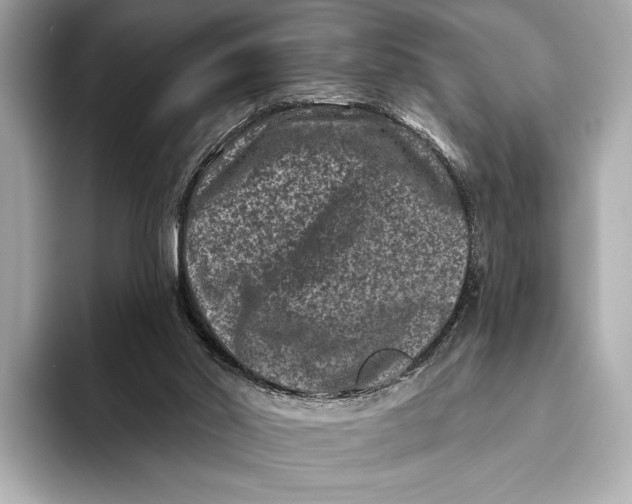 X0000093480014200711020941