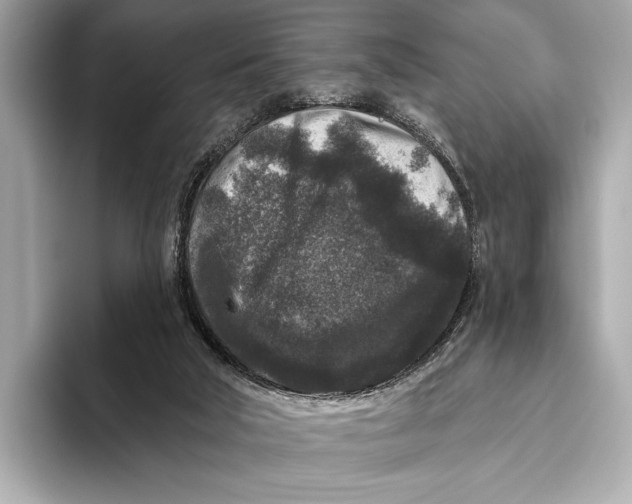 X0000093480018200711020941