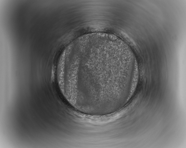 X0000093480026200711020941