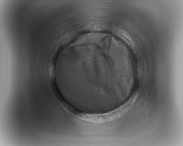 X0000093480029200711020941