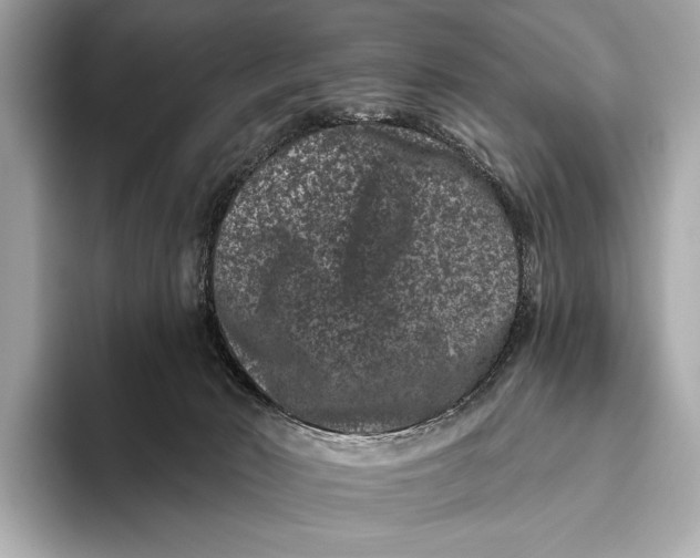 X0000093480030200711020941